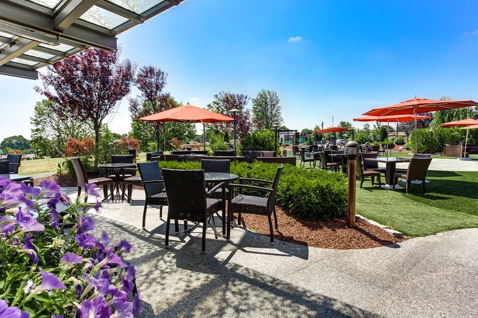 Meticulously manicured patios