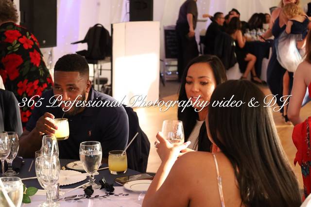 365 professional Photography