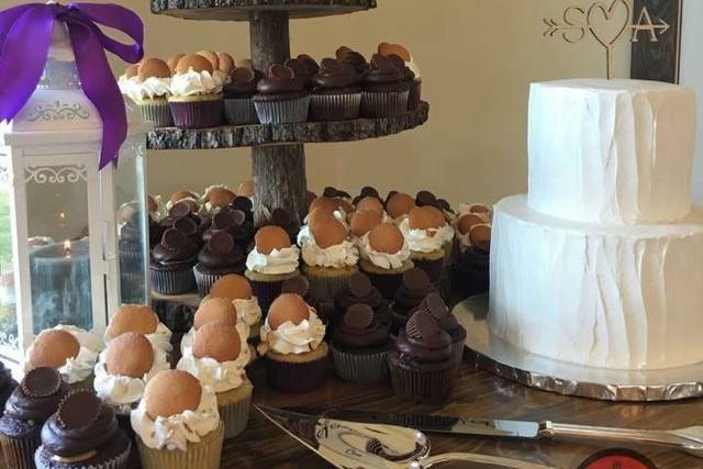 2 tier cake with cupcakes