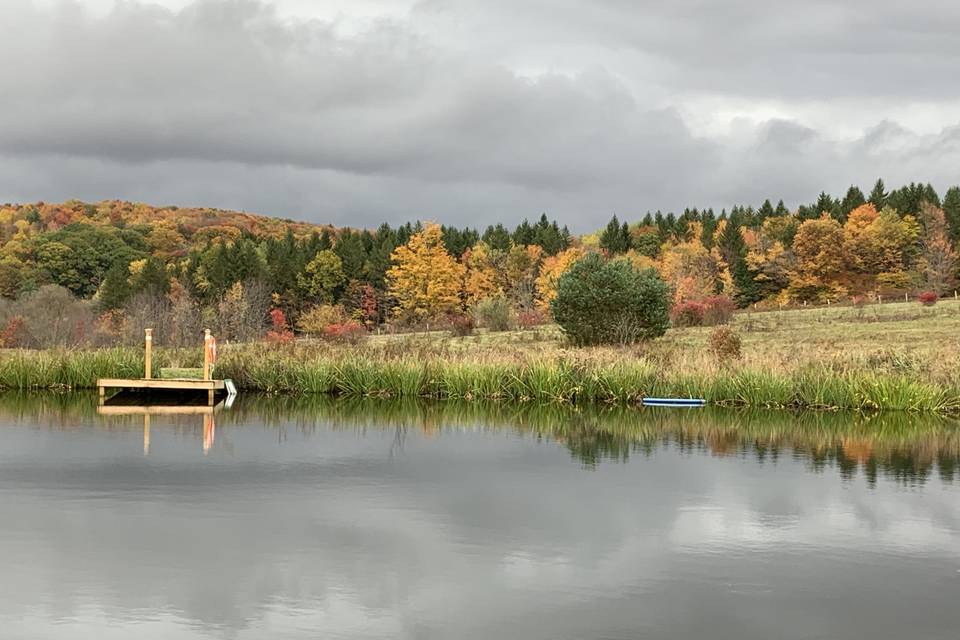 Pond area