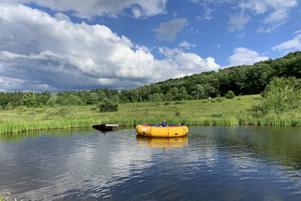 Summer days on the pond