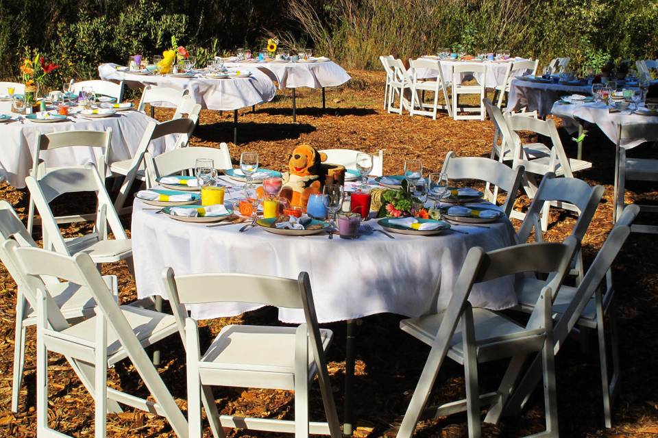 beautiful tables and chairs (included in the cost of the venue)