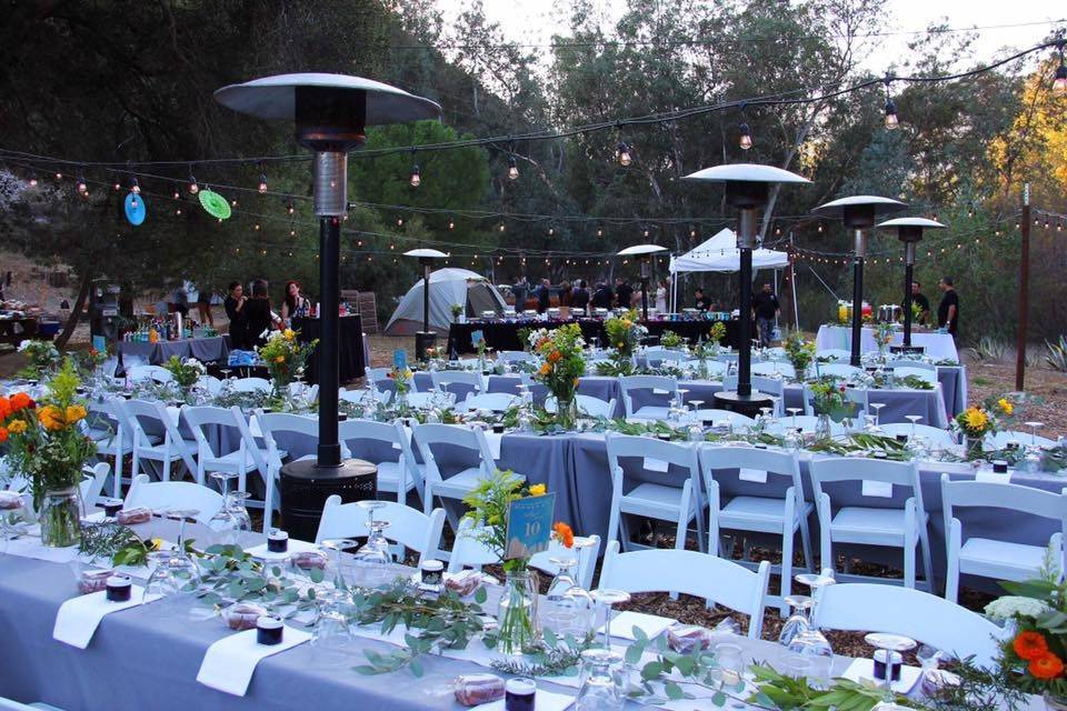 Weddings at Reptacular Animals Ranch in the Forest