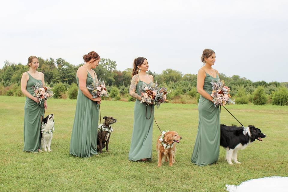 Bridesmaid with dogs