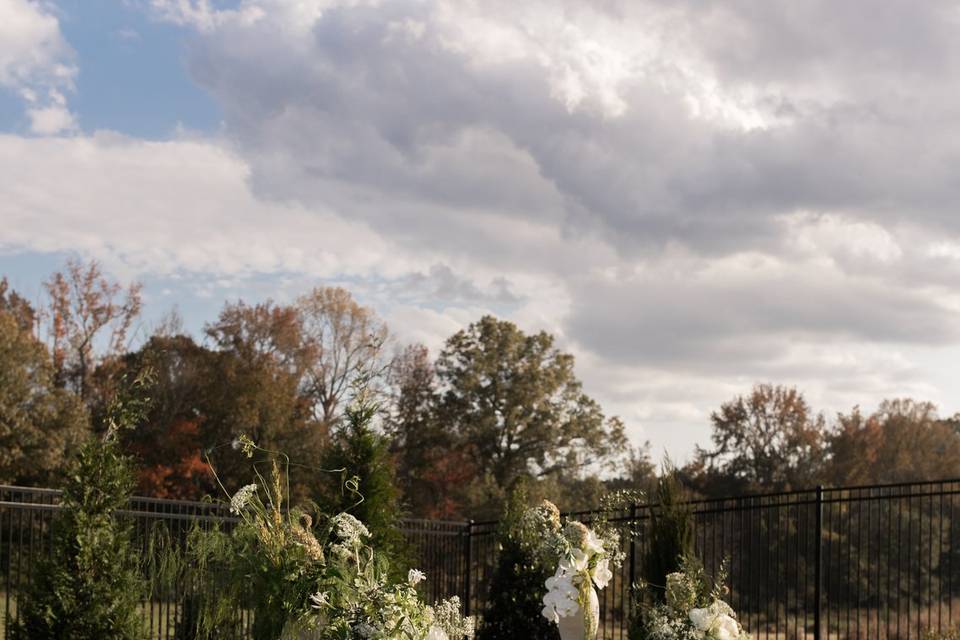 The Rose Garden