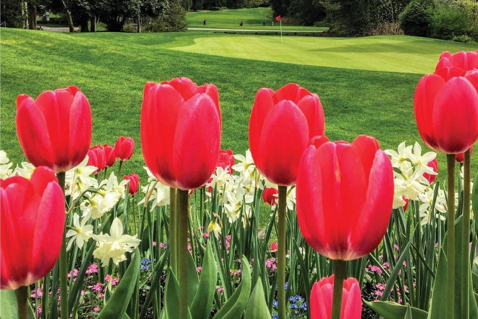 4Royce Brook Golf Club