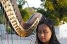 Graceful Music: Harpist & Pianist