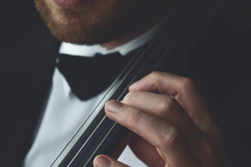 Orlando Cellist