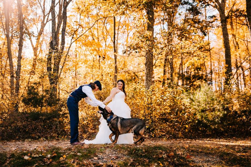 Wedding with dog