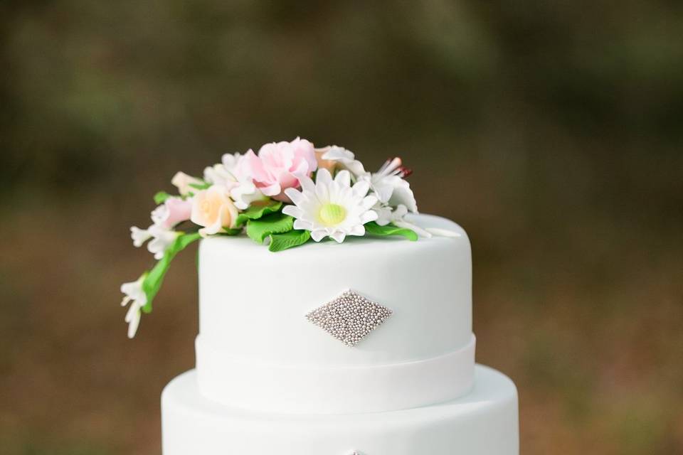 Coastal cake