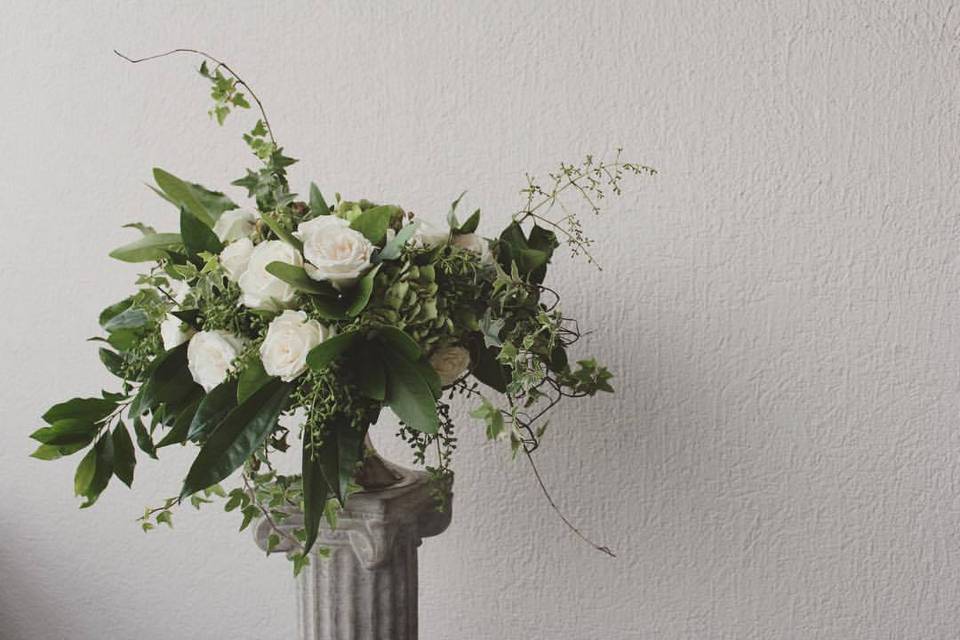 White roses against leafy greens