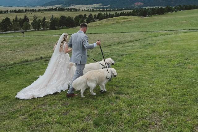 Walking as a family