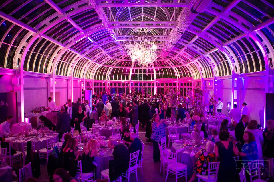 Reception hall in pink lighting