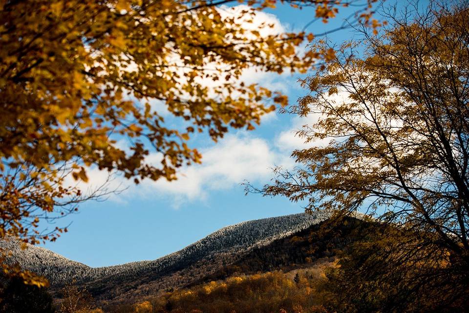 Mt Mansfield & Fall Foliage