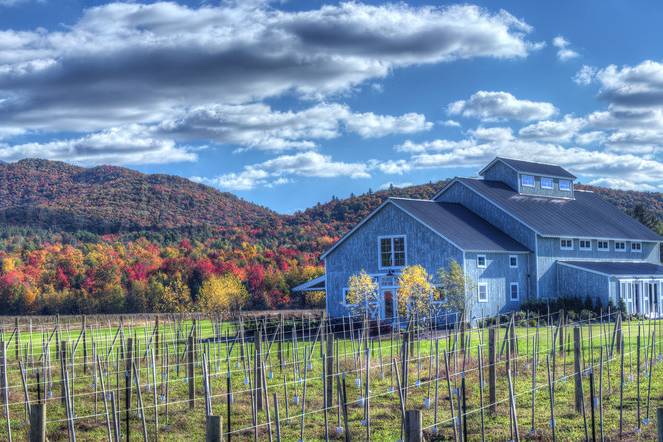 Barn from Vineyard