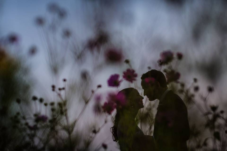 Wildflower Silhouette