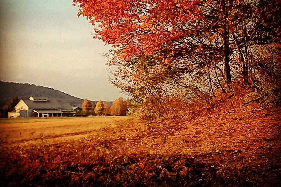 Fall Foliage at Barn