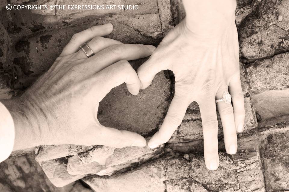 The heart