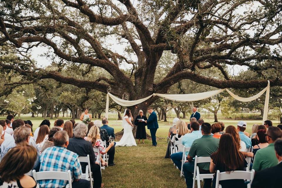 Outdoor Ceremony