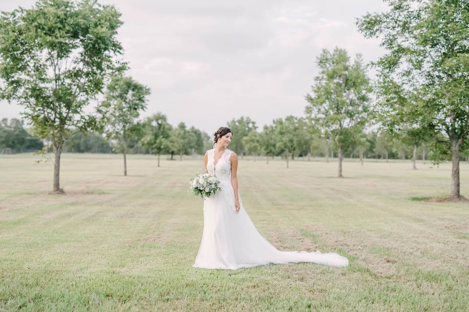 Pecan orchard