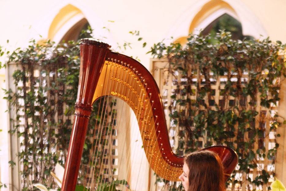 Harp sounds fill the air