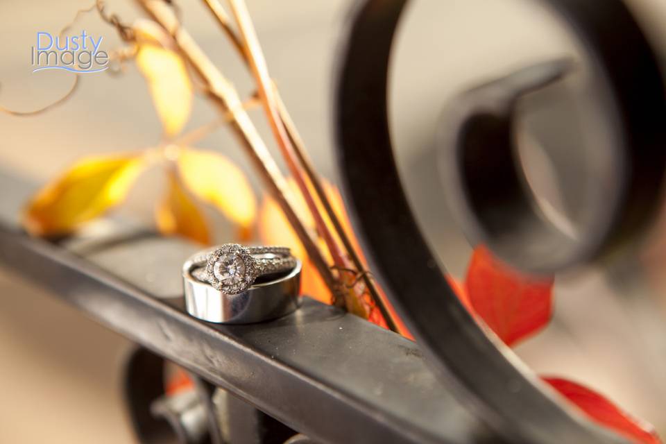 The rings