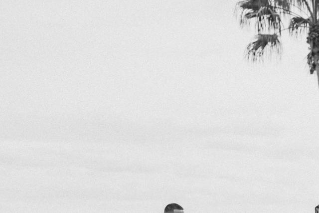 Don Cesar Wedding