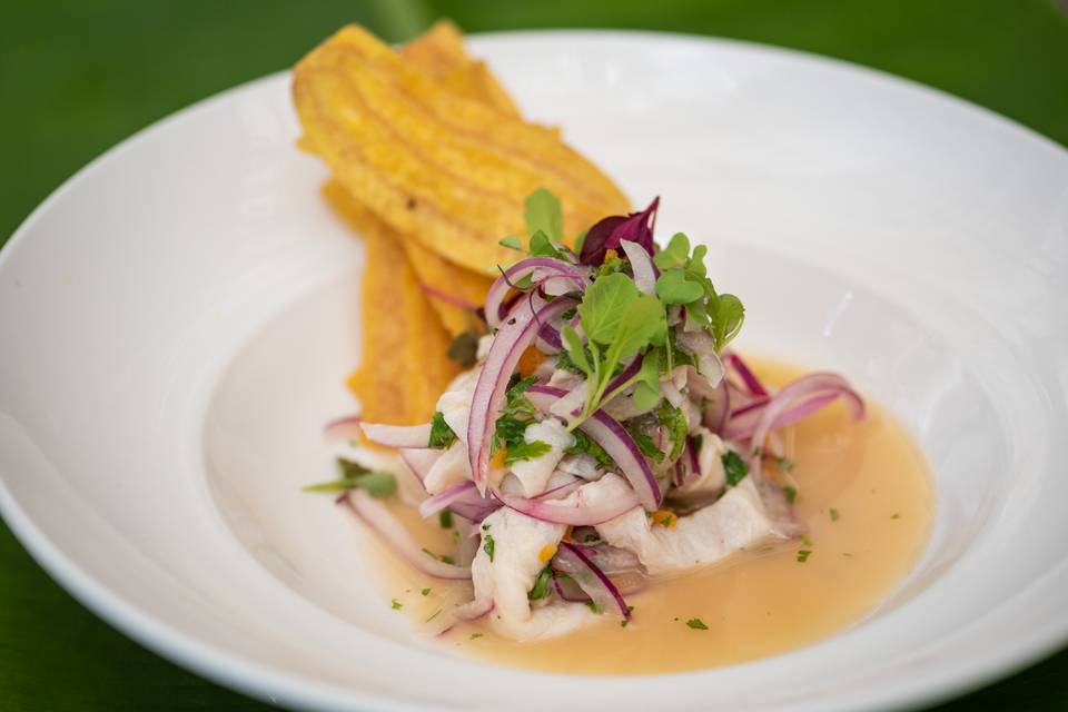 Ceviche with Leche de Tigre