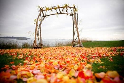 Outdoor wedding aisle with flower petals