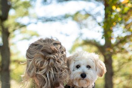 Dog is the bride's best friend