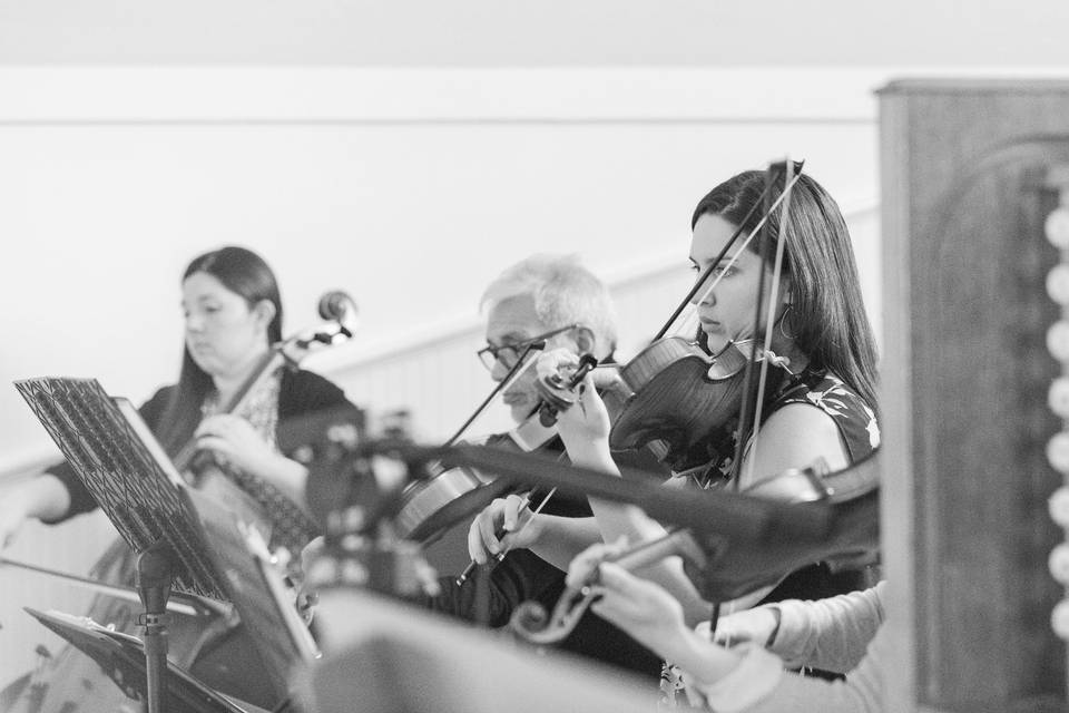 Three string musicians performing at an event