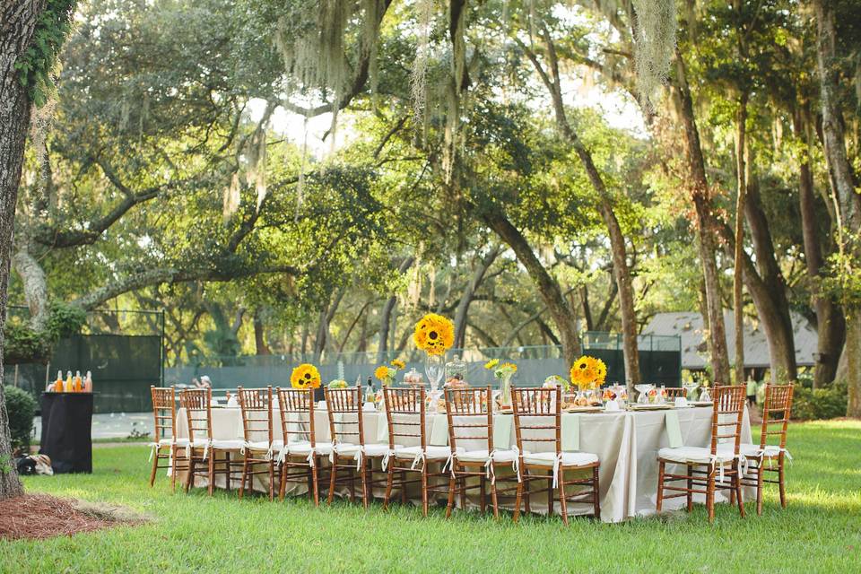 Reception beneath the trees