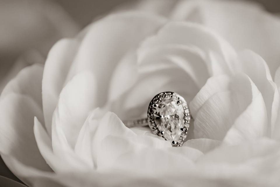 Ring in white flower
