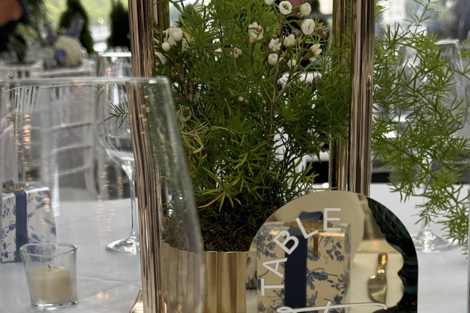Ceremony Set Up