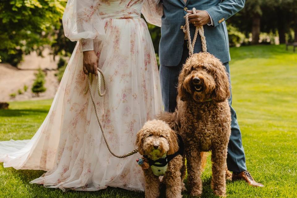 We are dog friendly!