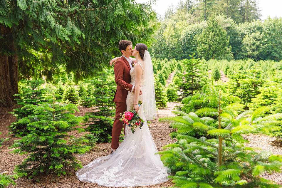 A kiss in the trees