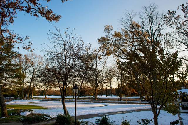 Snowy field