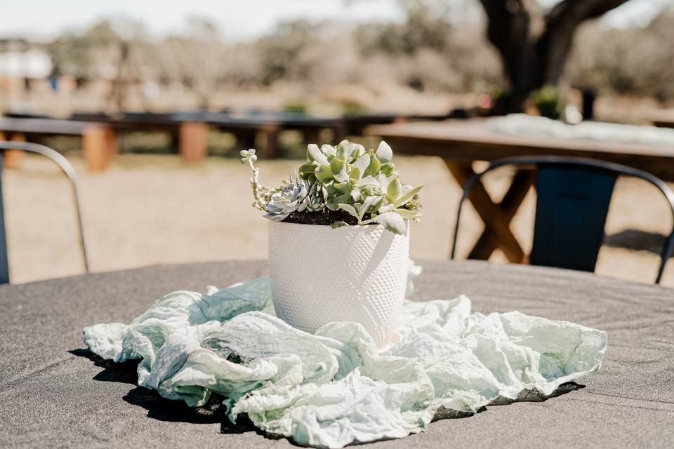 Table Runners / Linens