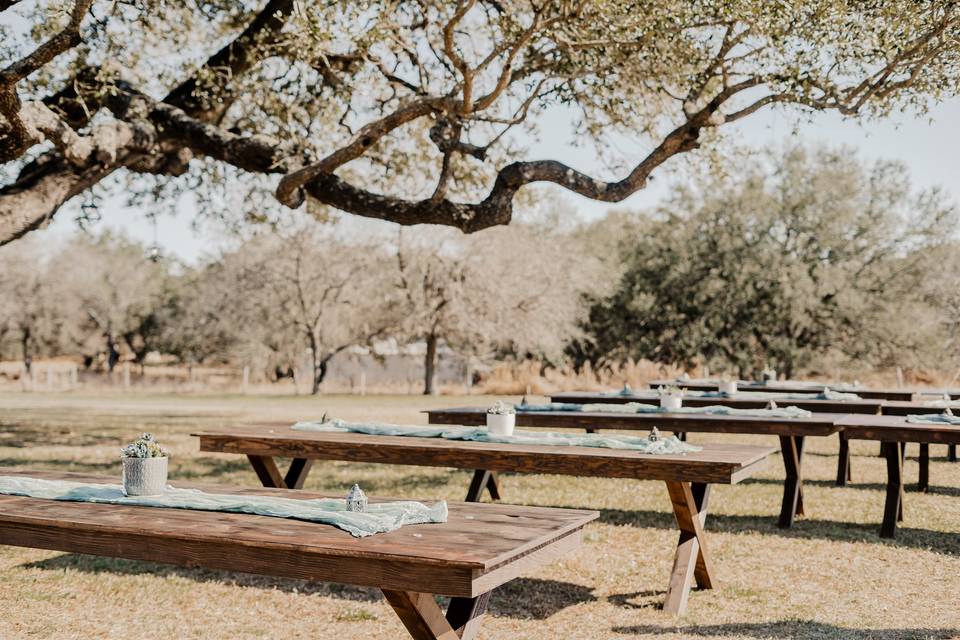 Harvest tables that seat 10 each