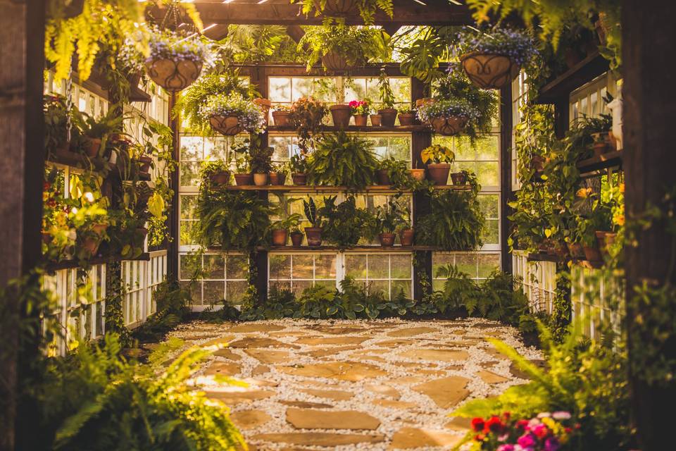 Greenhouse Interior