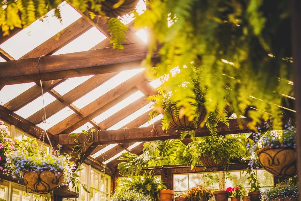 Greenhouse Interior