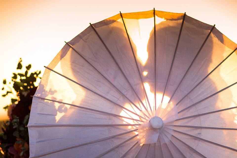 Wedding umbrella kiss