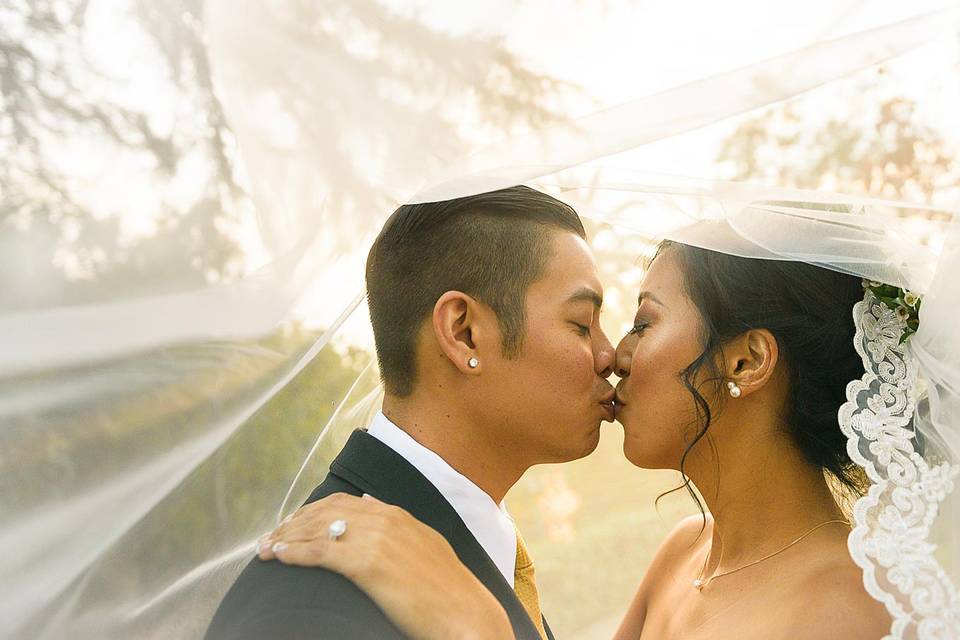 Newlyweds under veil