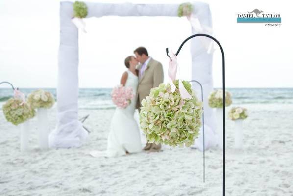Beautiful Aly Beach wedding, photographed by Daniel Taylor Photography