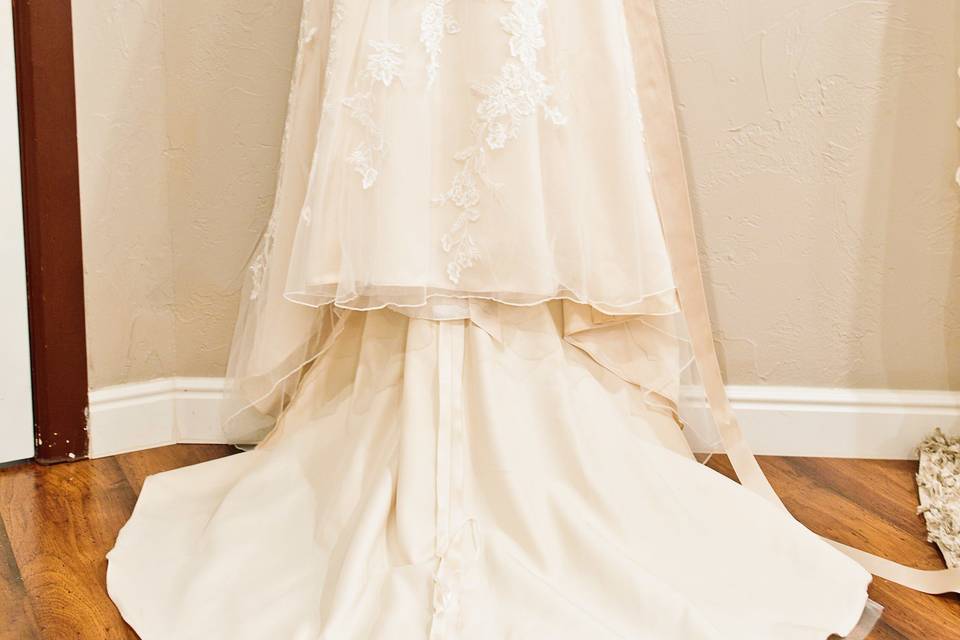 Brides dress