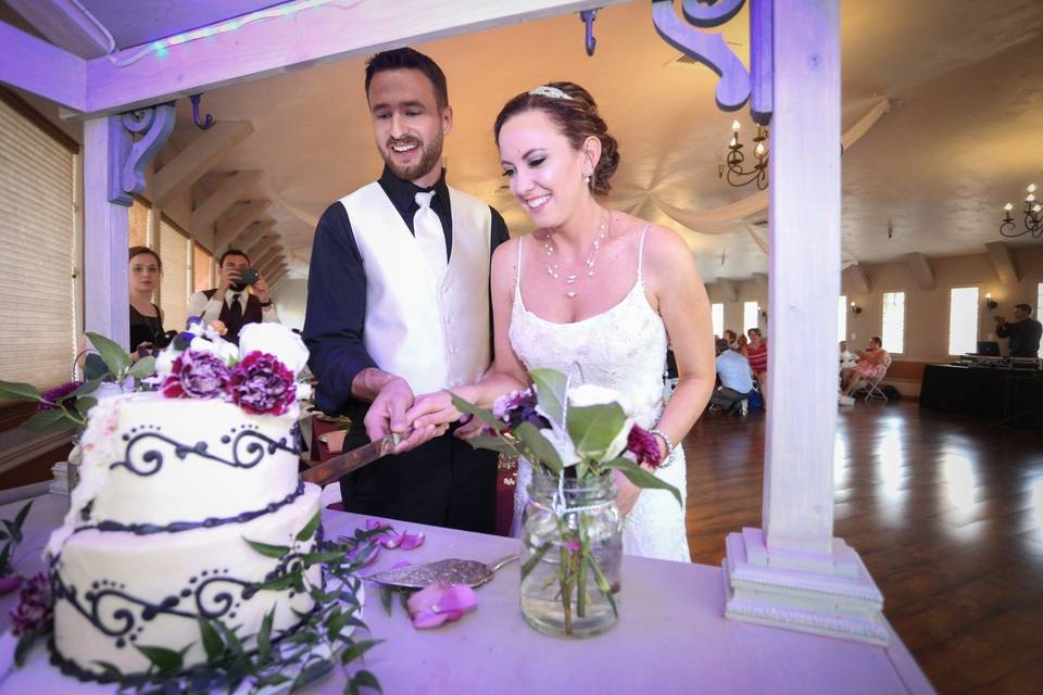 Cake Cutting