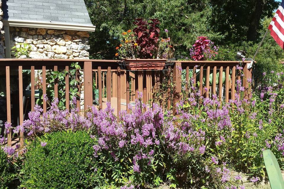 Rock Cottage Gardens