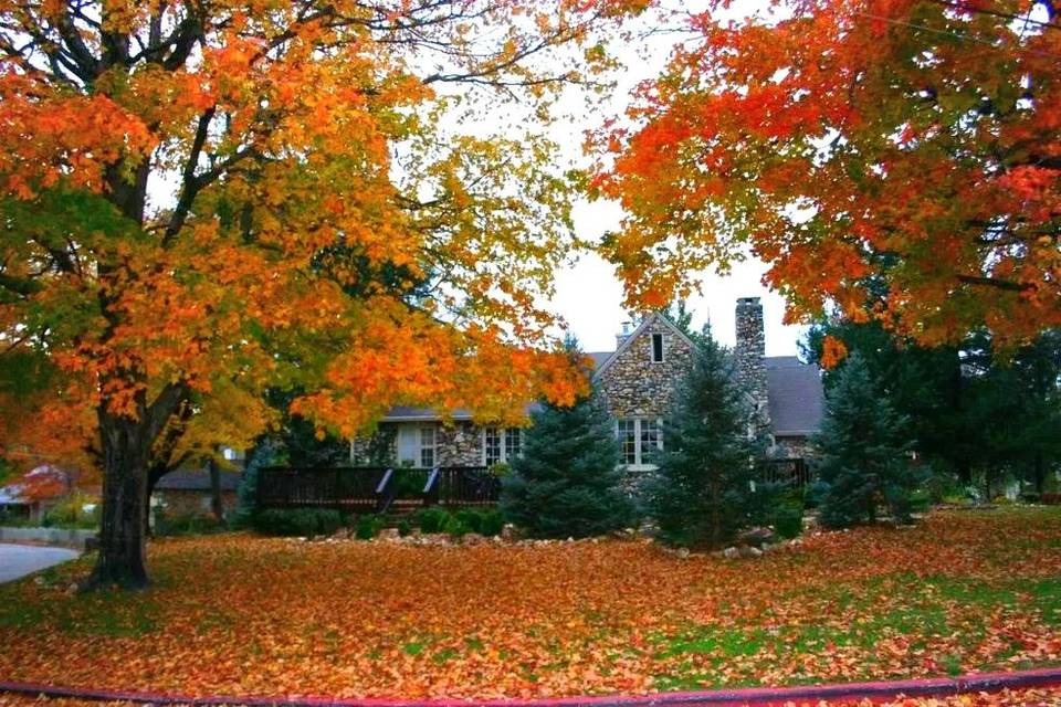 Rock Cottage Gardens