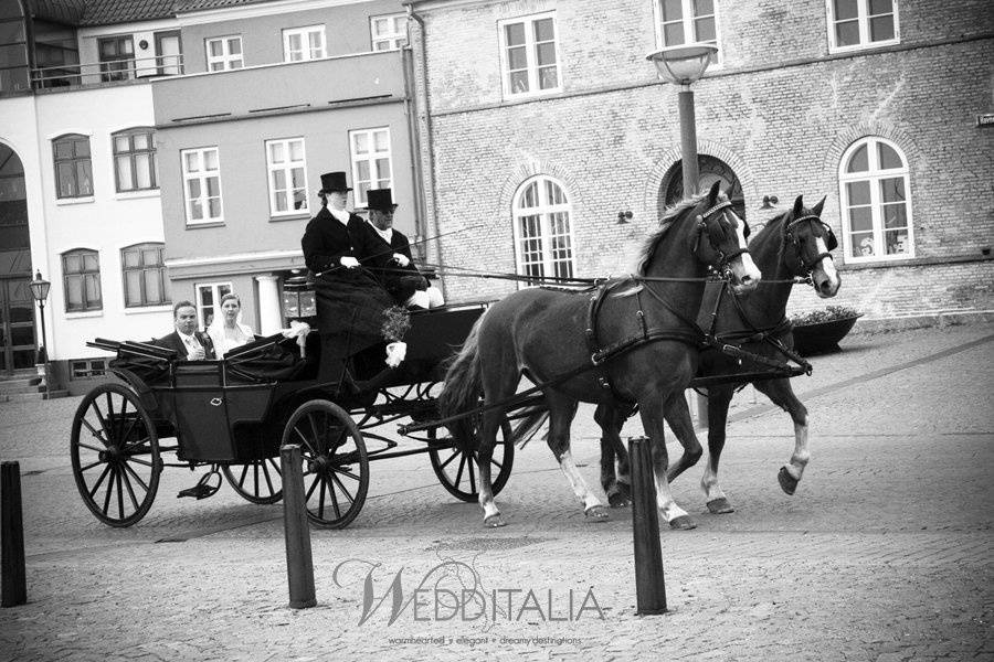 Bride and groom arriving in a horse carriage.