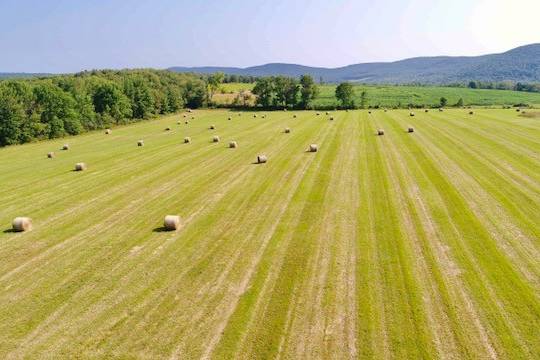 The Farm at Cottrell Lake